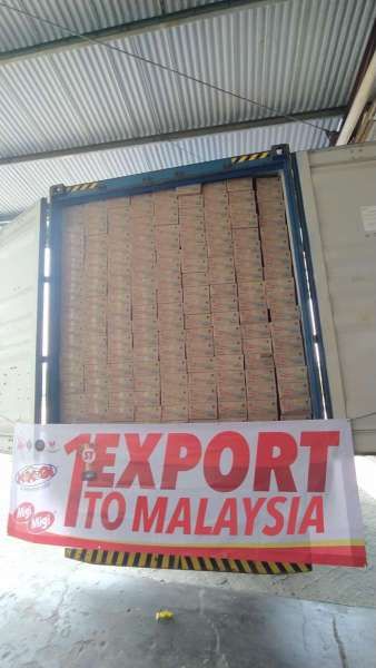 ILUSTRASI. Momogi ekspor